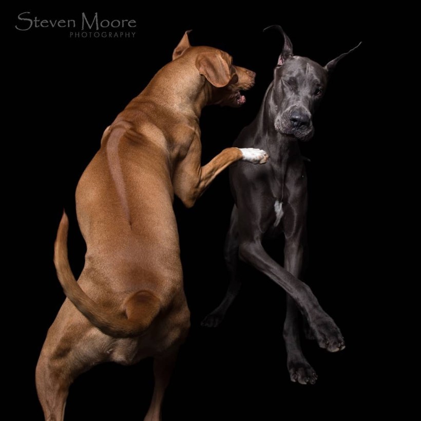 C786B145-7AFE-4DCA-B165-C7C655A73CCB